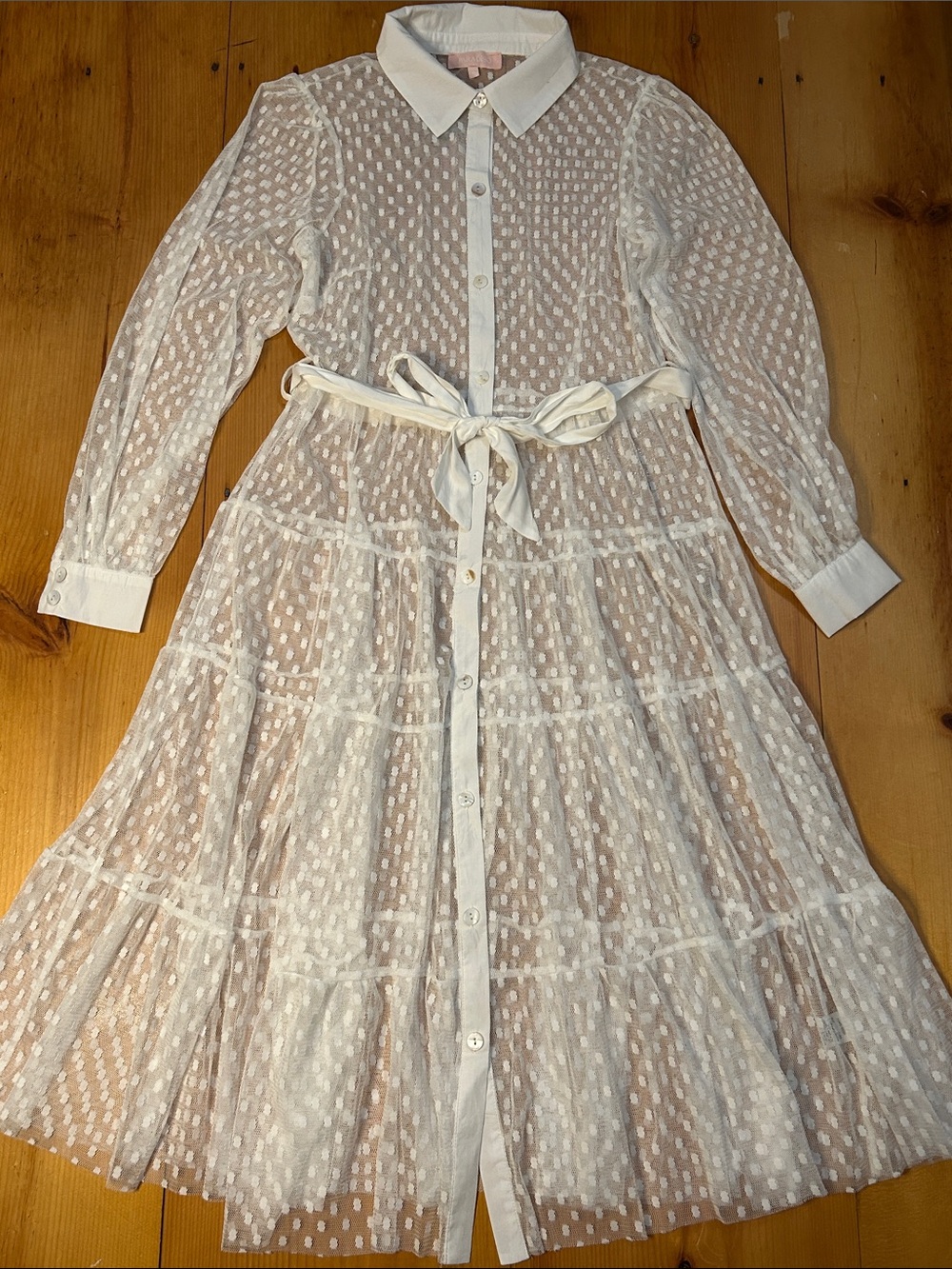 Paradiso flowy White Sheer Swiss Dot girly ruffle tier fairy core dress